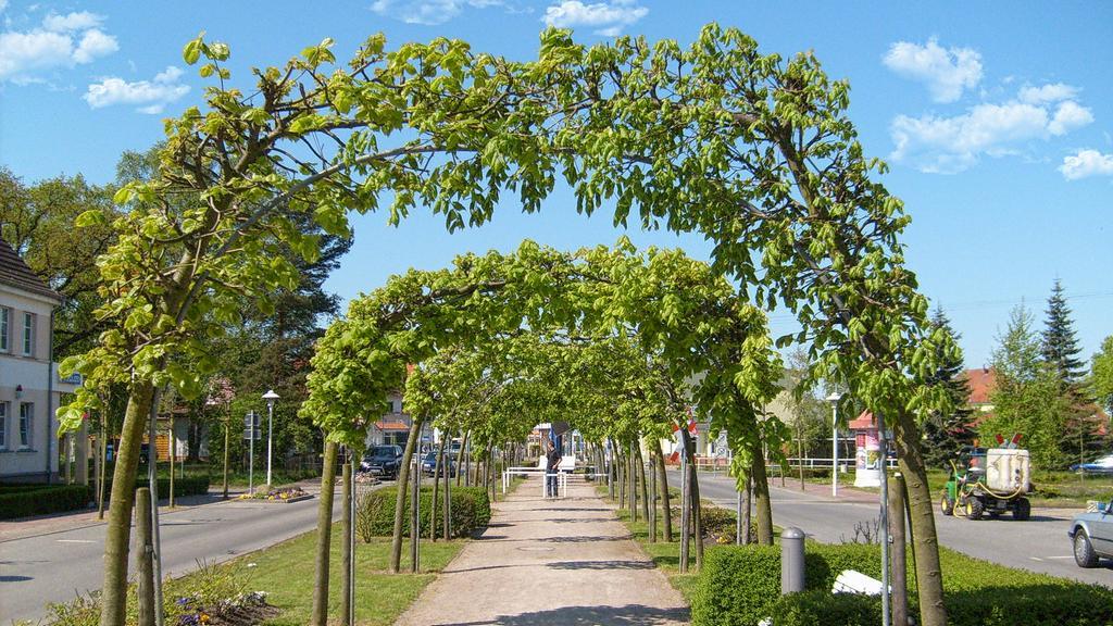 Ferienhaus Seepferdchen Baabe Bagian luar foto